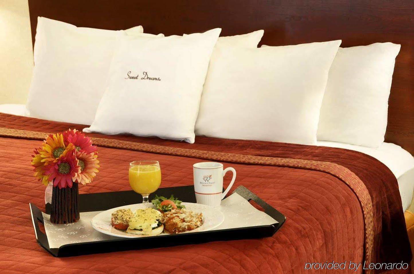 Doubletree By Hilton Johnson City Room photo